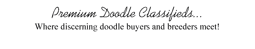 Premium Doodle Classifieds...  where discerning doodle buyers and breeders meet!